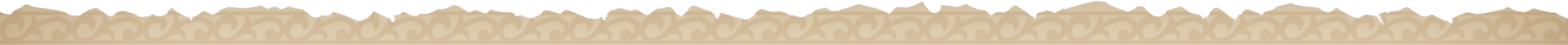 Character top